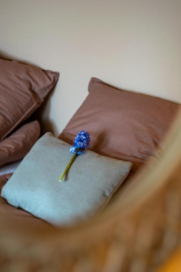 Mosters Bed & Breakfast Guldborg Exterior foto